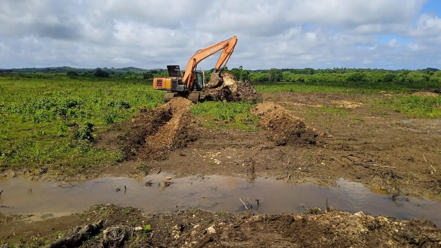 Excavator membersihkan area lahan terbuka